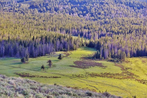 Idaho Mountains